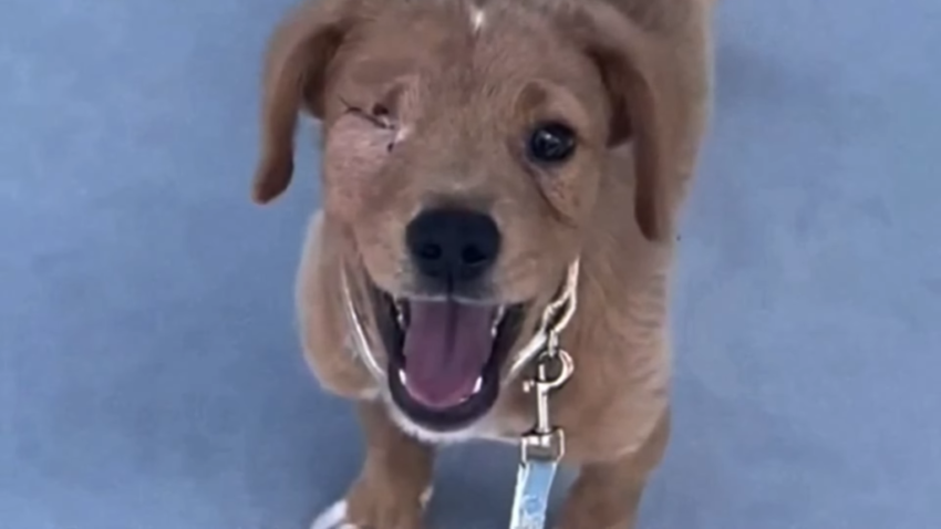 image-787-1024x576-1-850x478