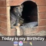 625003832_122161955882914673_3421208185679361539_n