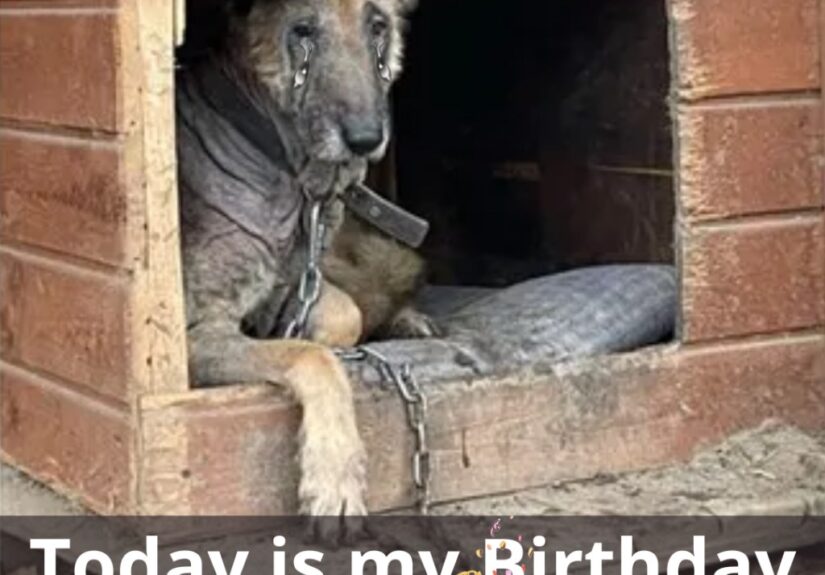 625003832_122161955882914673_3421208185679361539_n