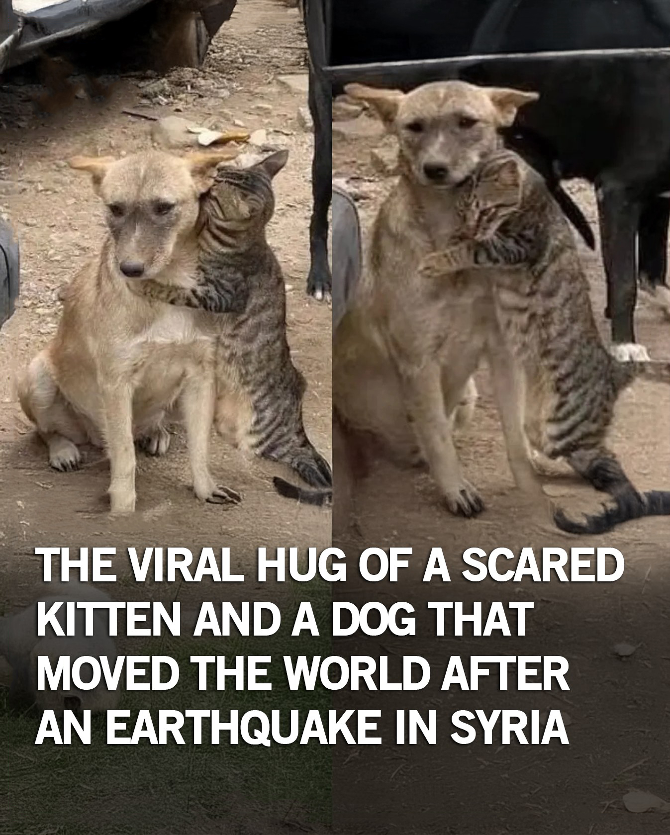 625840124_122162272190914673_7299110823336499427_n