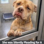 626175573_122162787608914673_5507867872301569936_n