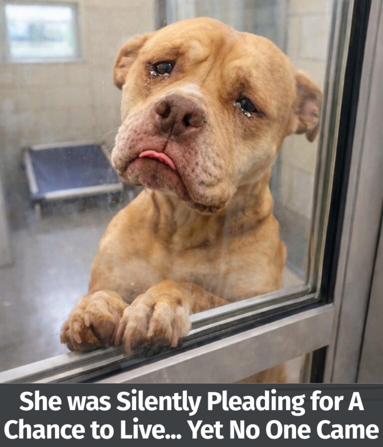 626175573_122162787608914673_5507867872301569936_n