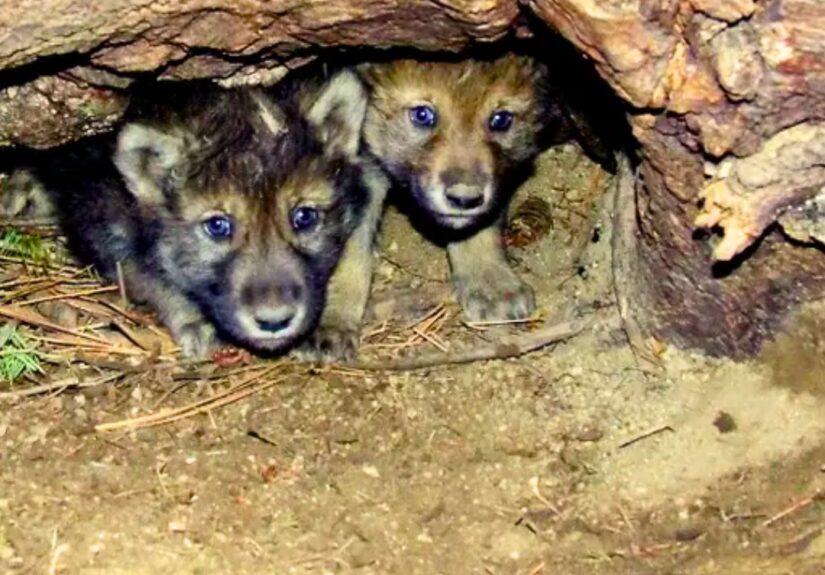 627550469_122161840850672293_4236140220129699035_n