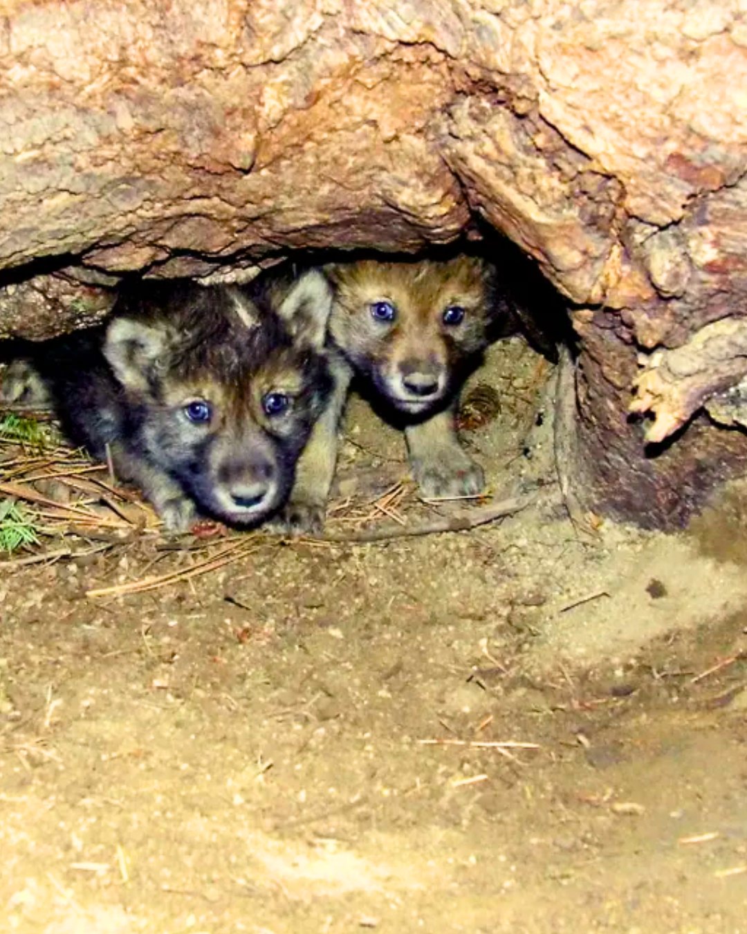 627550469_122161840850672293_4236140220129699035_n