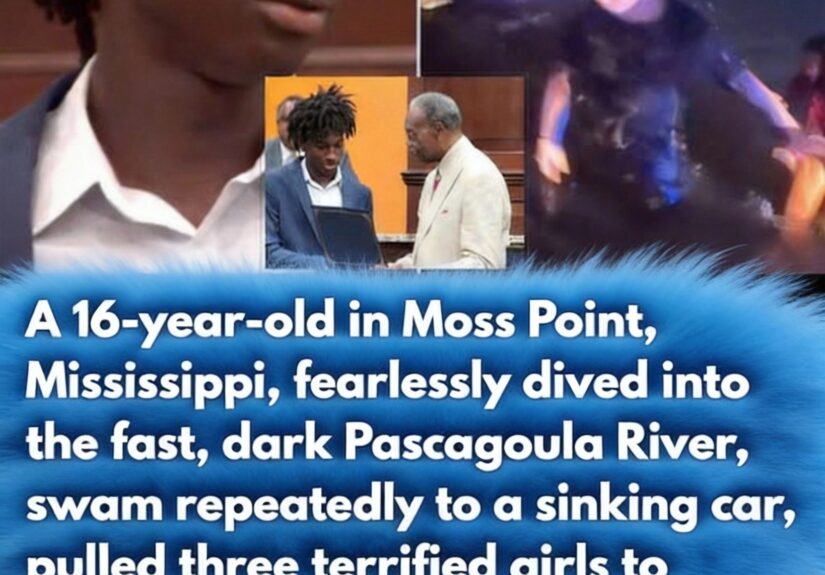 628442116_122162089580672293_1918636960334337669_n