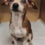 628864361_122162593004672293_8703966286118111215_n