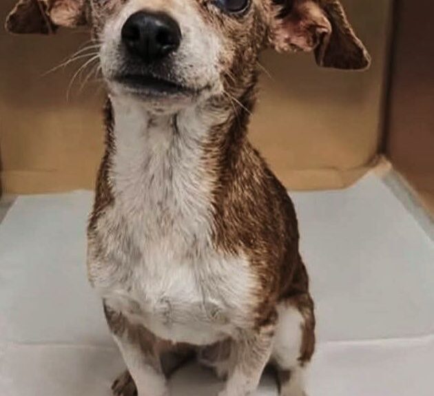 628864361_122162593004672293_8703966286118111215_n