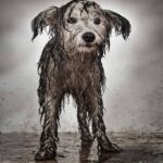 629309173_122150680694956607_6165996874630825144_n