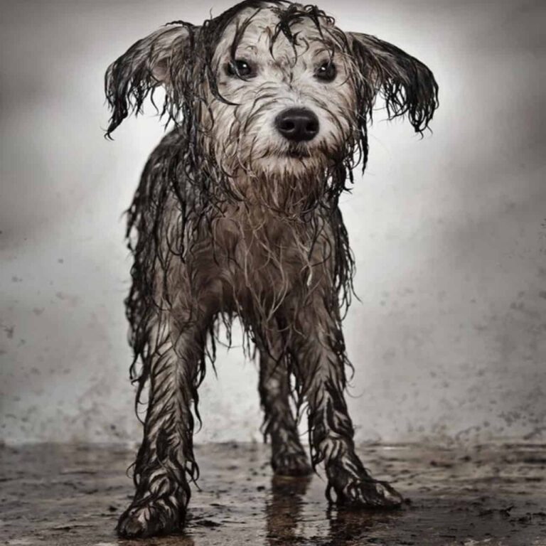 629309173_122150680694956607_6165996874630825144_n