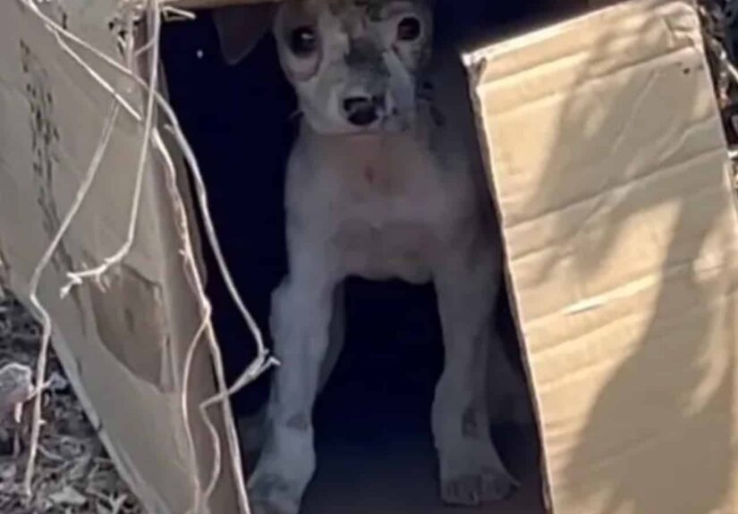 631438124_122168369360750809_8416433392781137313_n