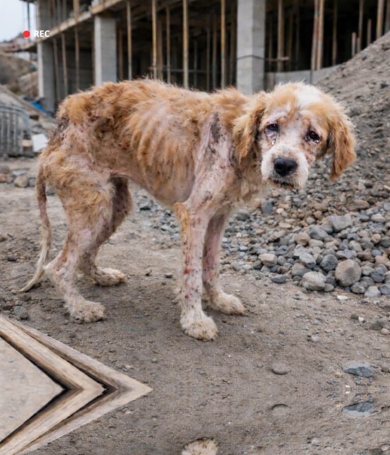 631643745_122163383528914673_3335084268901302039_n