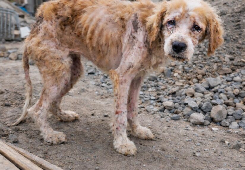 631643745_122163383528914673_3335084268901302039_n