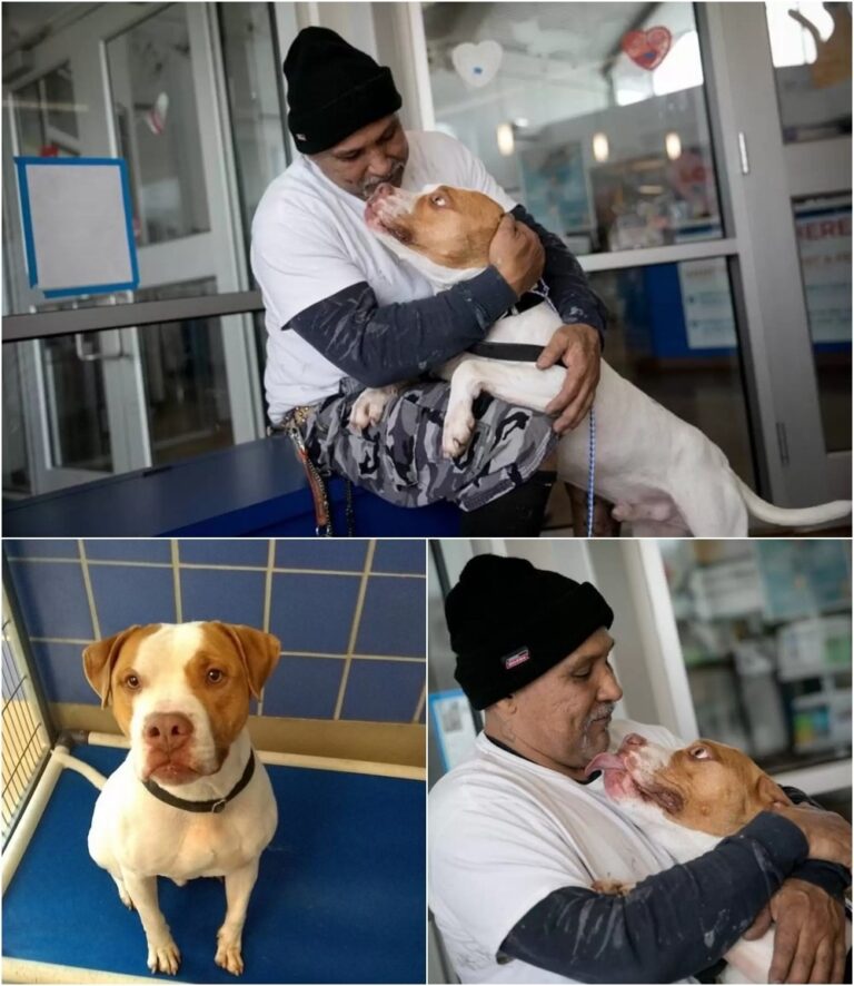 631797175_122150679944956607_3460780718788540681_n