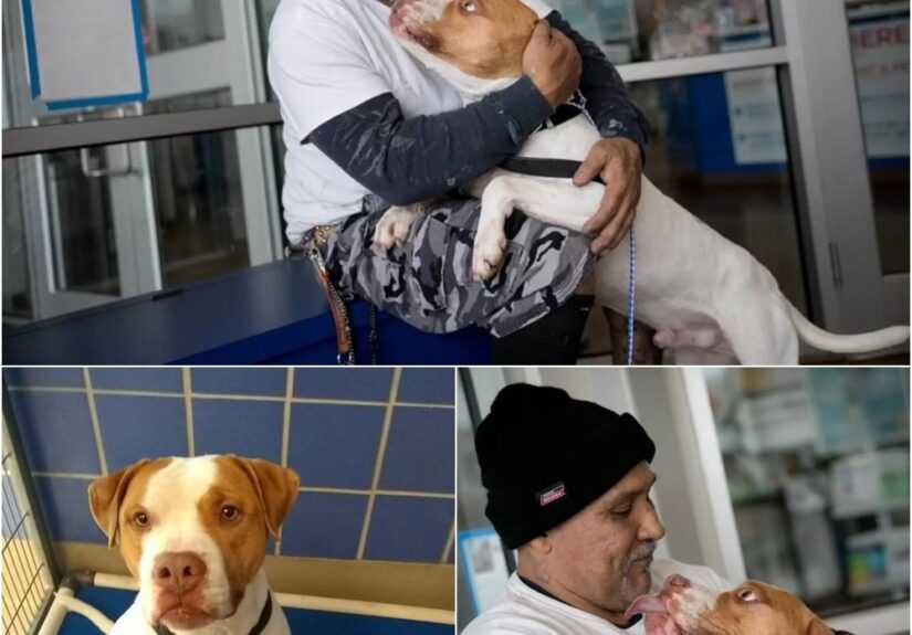 631797175_122150679944956607_3460780718788540681_n