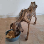 633477623_122150621198956607_3997370805396450711_n