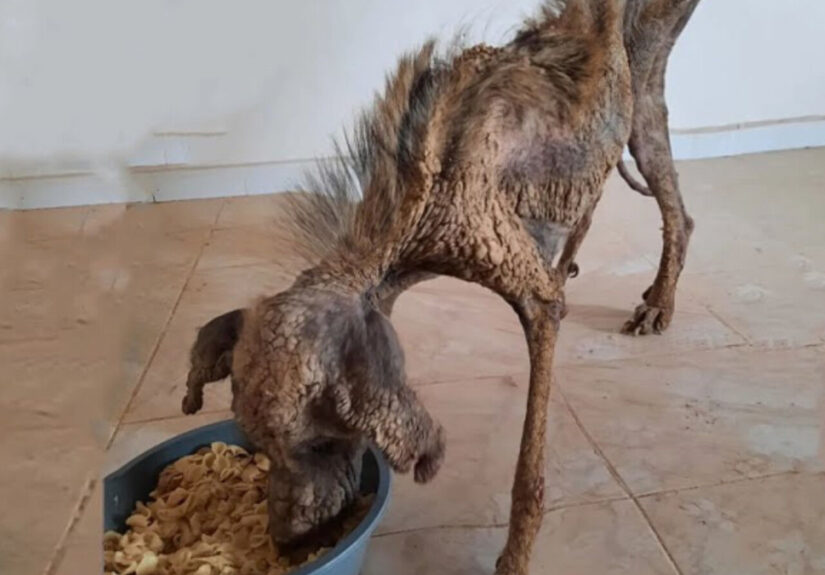 633477623_122150621198956607_3997370805396450711_n