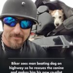 634263789_122163635888914673_7425709058362990270_n