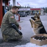 635511611_122162772140672293_5221511595658594678_n