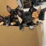 637201042_122197512560382569_7700661845887204041_n