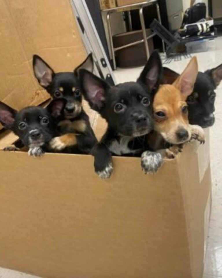 637201042_122197512560382569_7700661845887204041_n