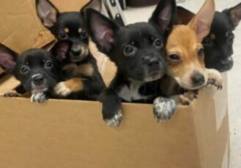 637201042_122197512560382569_7700661845887204041_n