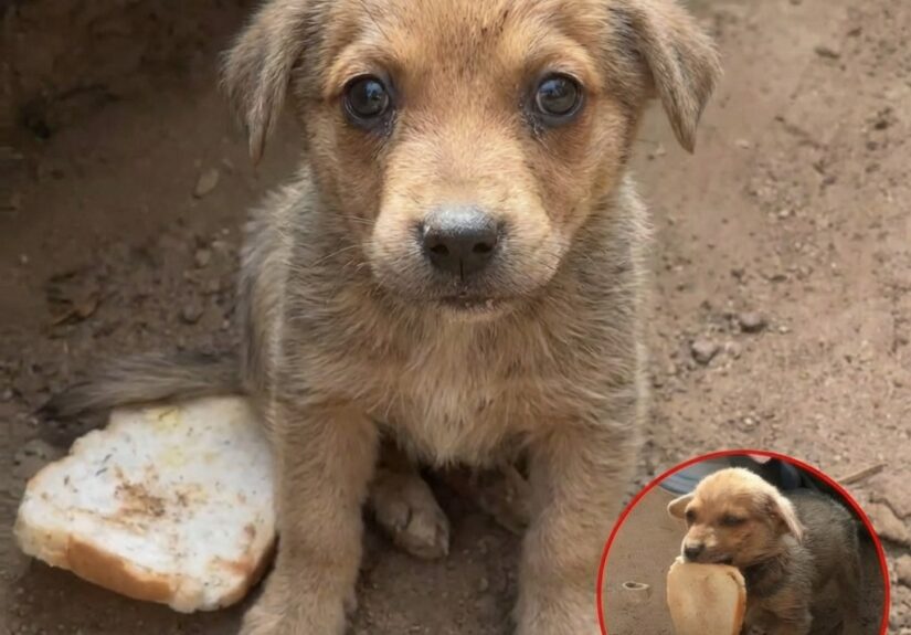 637459387_122162966576672293_8395538575987576677_n