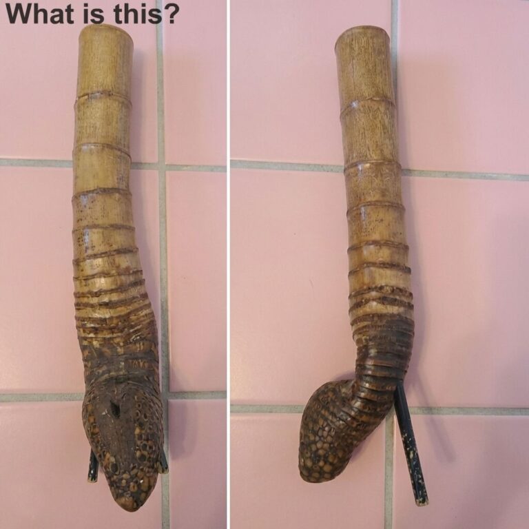 640151898_122169543218750809_1156388732168405334_n