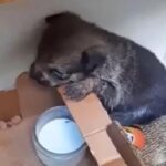 640325544_122197704662382569_7759525022499694494_n