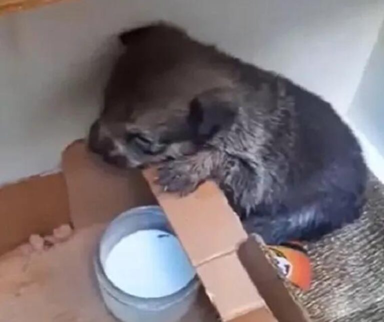 640325544_122197704662382569_7759525022499694494_n