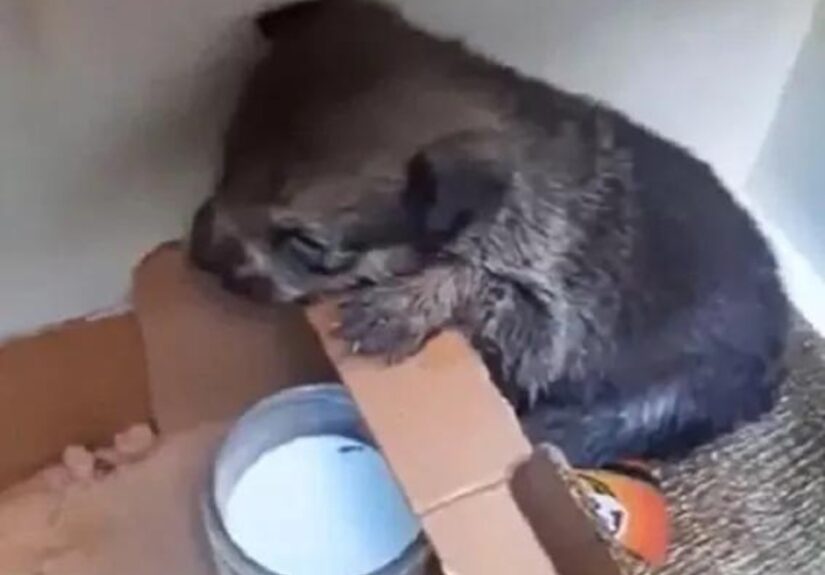 640325544_122197704662382569_7759525022499694494_n