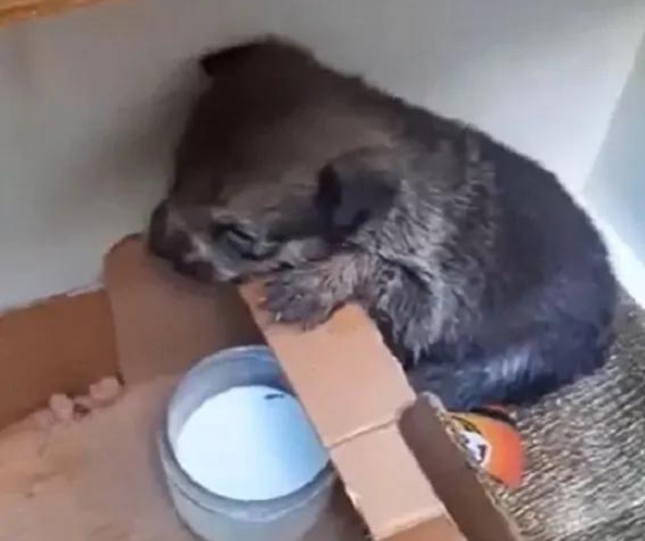 640325544_122197704662382569_7759525022499694494_n