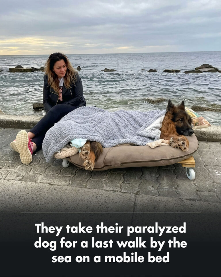 640920926_122165152718914673_3023198608873599479_n