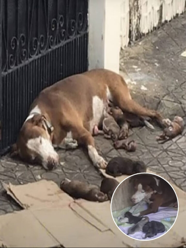 641426736_122163286718672293_2347636124108969870_n