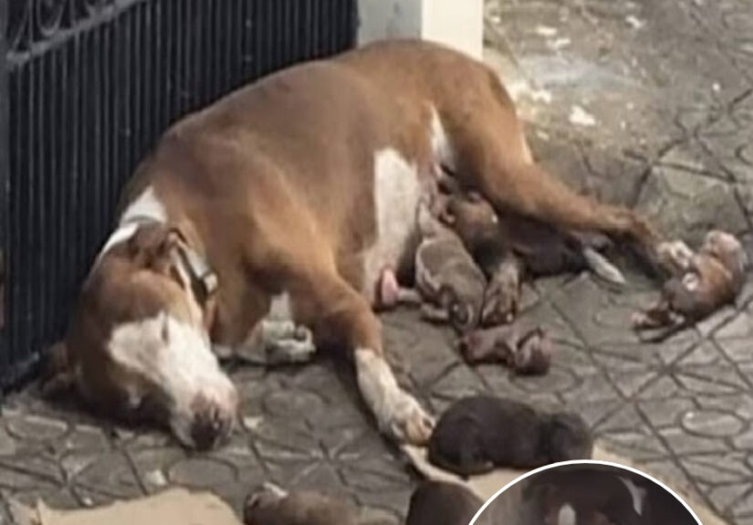 641426736_122163286718672293_2347636124108969870_n