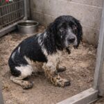 642969459_122198214152382569_2284621553360461485_n