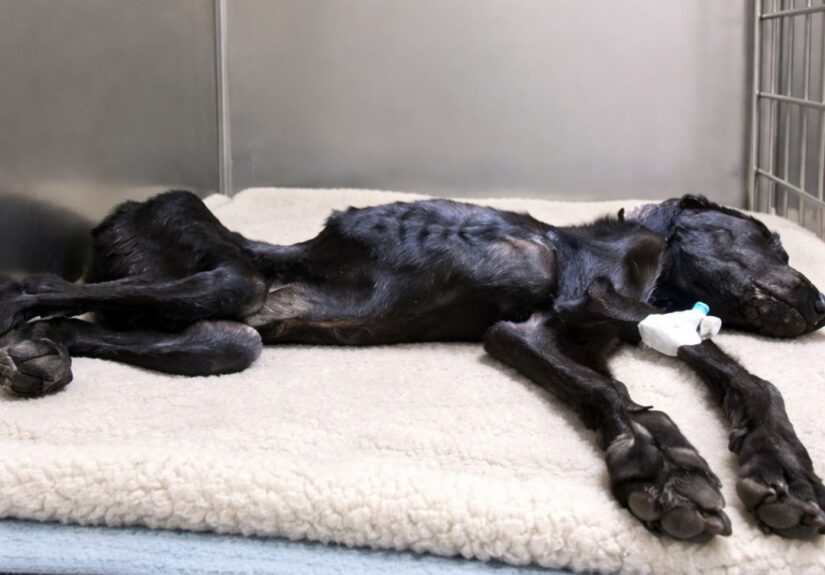 646407713_122156217284925358_7508666812566378008_n