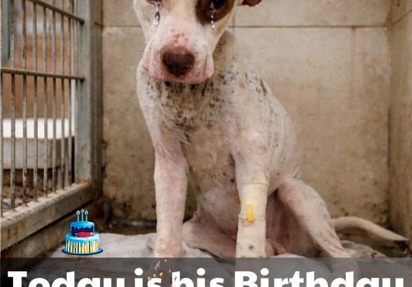 647751132_122198688194382569_2005949864438482349_n