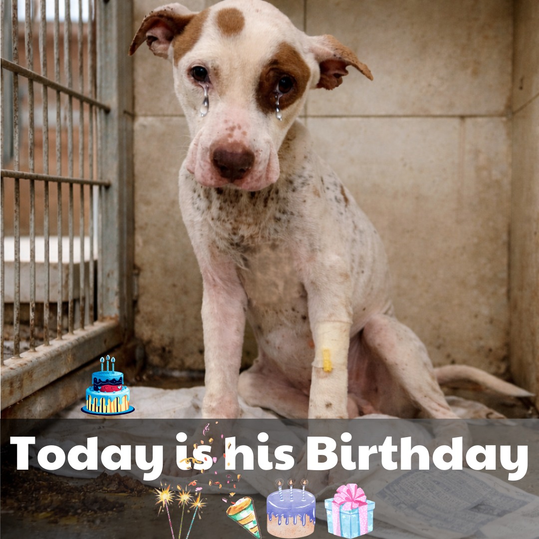 647751132_122198688194382569_2005949864438482349_n