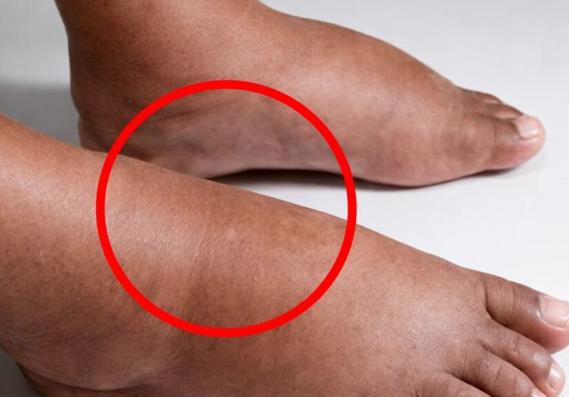 648045401_1452320736269173_7957851612866765890_n