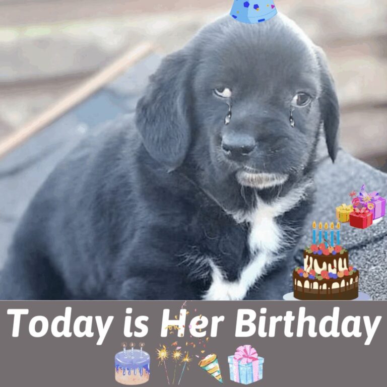 657456224_122156983844956607_34843079734994449_n