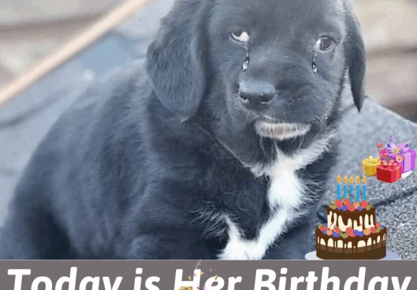 657456224_122156983844956607_34843079734994449_n